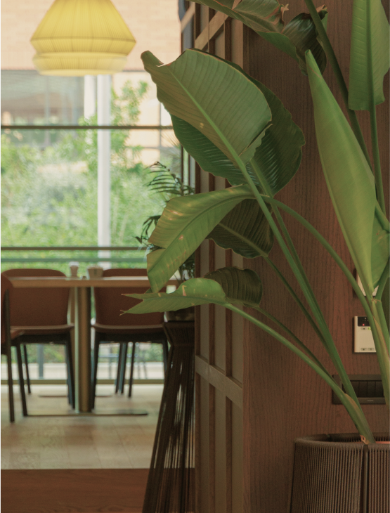 Savoy Osteria offers an experience where taste, sight, and aroma come together in perfect harmony.